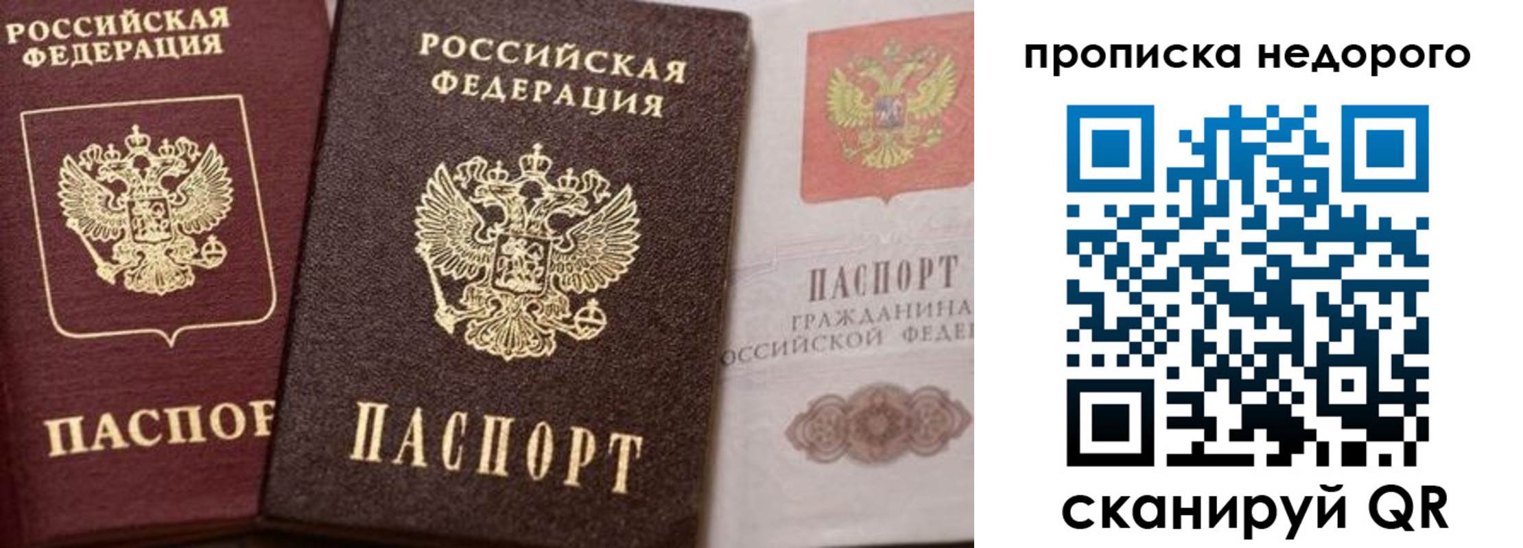 временная регистрация надежно в Киришах